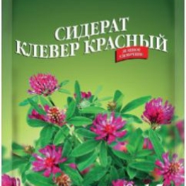 Сидерат Клевер красный (Trifolium pratense)