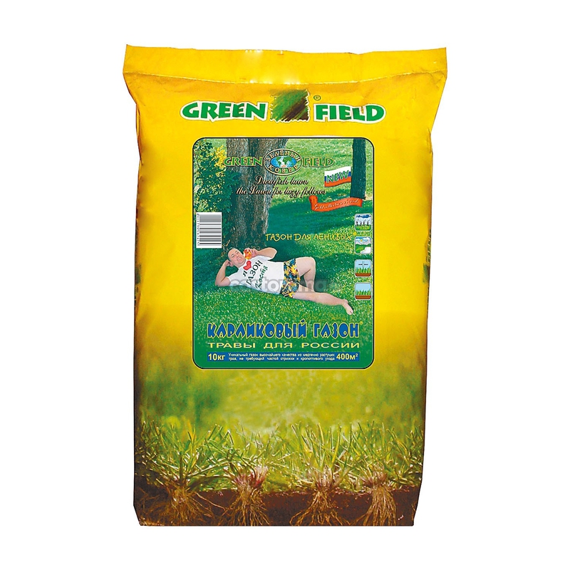 Газон карликовый Гринфилд (Lawn 'Greenfield')