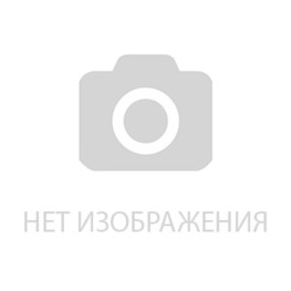 Сирень "Принц Волконский"